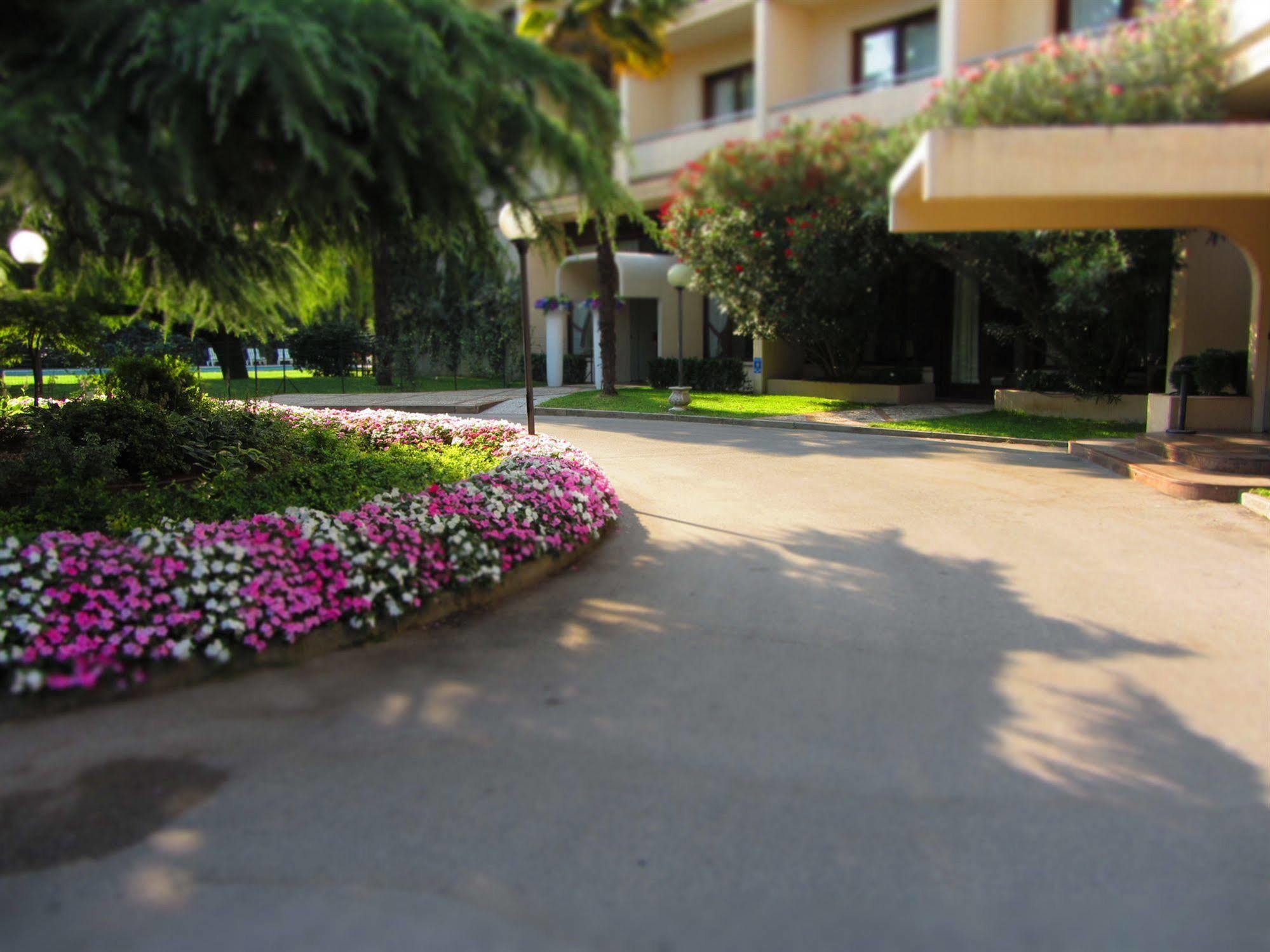 Blue Dream Hotel Монселиче Экстерьер фото